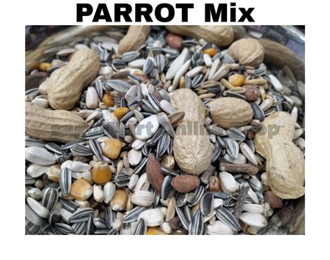 Parrot Seed Mix 1kg Sagor Mart