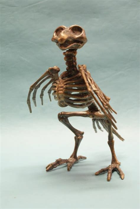 Bird Skeleton Complete Bronze Art By William Miles