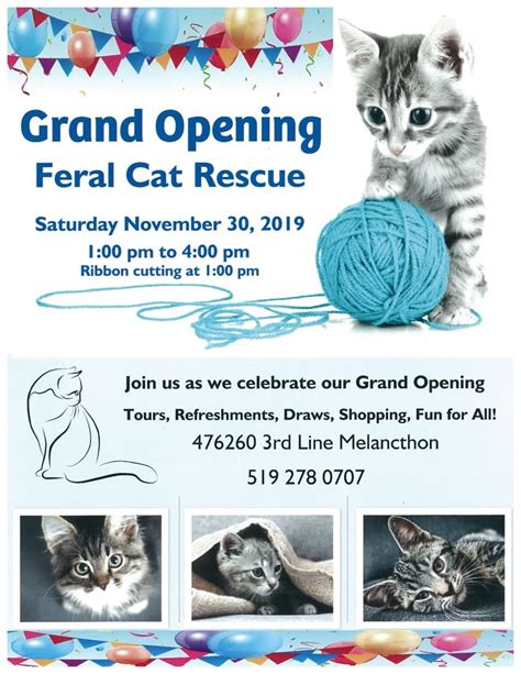100% volunteer and donation run www.feralchange.org www.feralchange.org/donate. Feral Cat Rescue Shelter Grand Opening | In The Hills