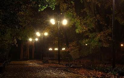 Night Autumn Fall Lamp Lights Trees Leaves