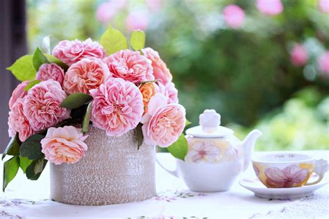 William cuthbert faulkner was born in new albany, mississippi on this day 1897. Roses flowers breakfast coffee morning milk relax romance ...