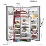 Basic Refrigerator Photos