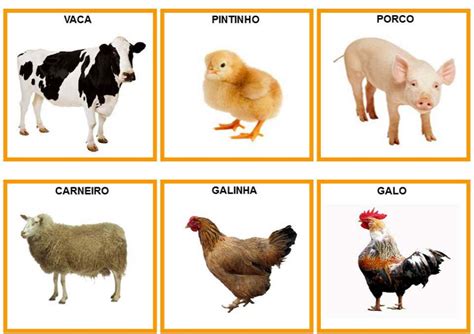 Animais Da Fazenda Em Ingles Atividades