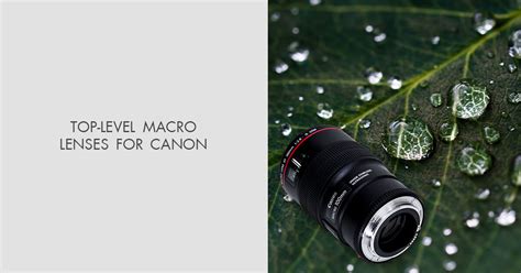 10 Best Macro Lenses For Canon In 2023