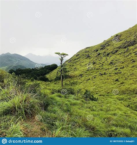 Mountain Slope In Kerala Stock Photo Image Of Hill 180753552