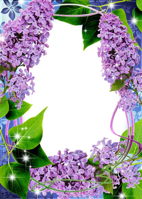 Beautiful Transparent Png Frame With Lilac Flower Frame Transparent