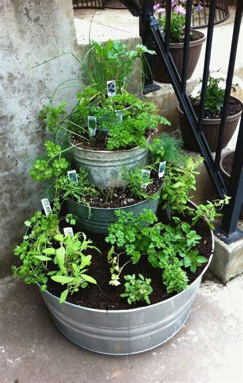 Container Gardening For Beginners In 2020 Outdoor Herb Garden Patio