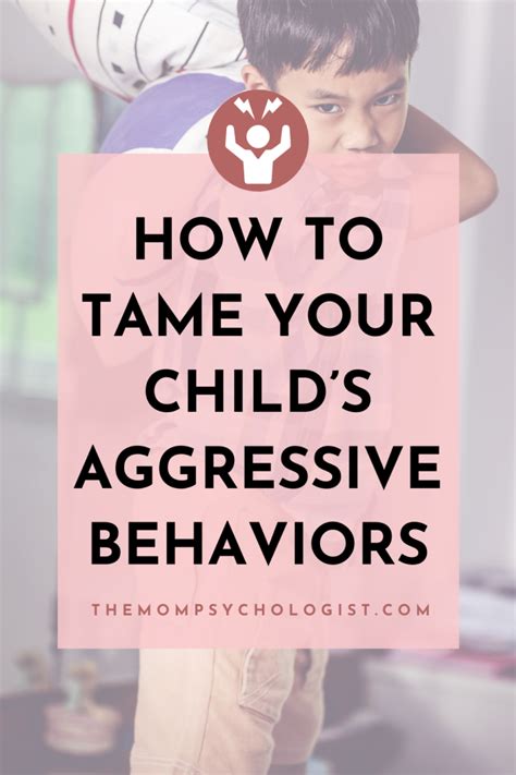 How To Tame Your Childs Aggressive Behaviors