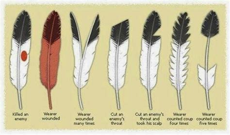 eagle feathers and the sacred meaning to lakota people native american feathers native
