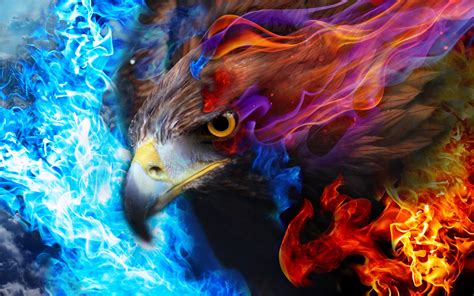 Fire Eagle Hd Desktop Wallpaper 61368 Baltana