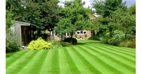 Check spelling or type a new query. Chase Gardening and Landscaping: All About - Lawns - How ...