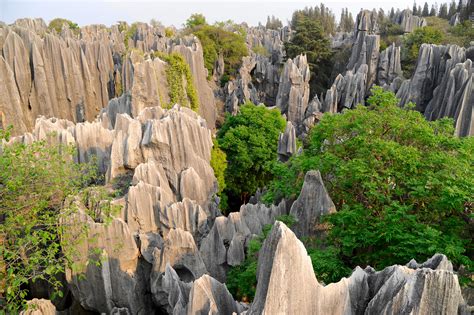 Shilin Stone Forest 28 From Kunming To Jianshui Pictures