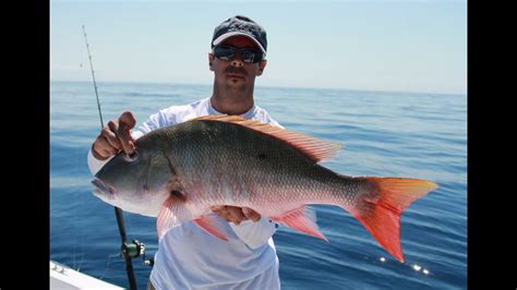 Pesca Variada De Pargos Serrucho Y Mas Bottom Fishing Muttons More Youtube