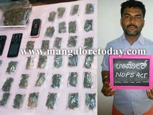 Mangalore Today Latest Main News Of Mangalore Udupi Page CCB Cops Arrest Drug Peddler Near
