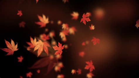 Autumn Spinning Backgrounds Loopable Animation Youtube