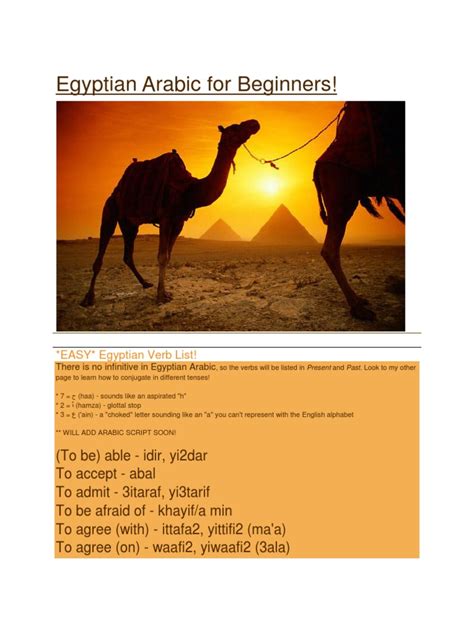 egyptian arabic for beginners grammatical number grammatical gender