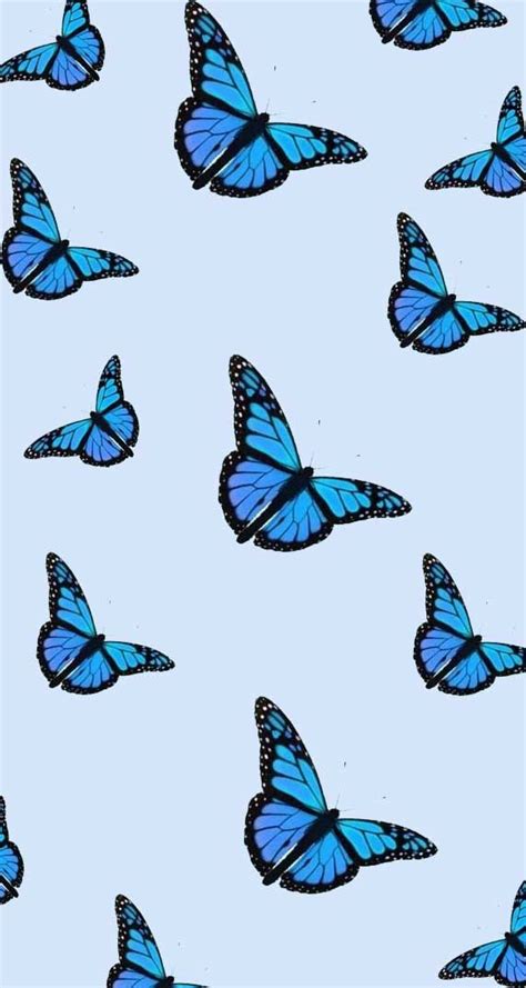 Aesthetic Wallpaper Blue Butterfly Black Background Gambar Ngetrend