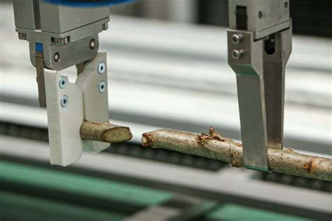 Development Of Automated Grafting Machine Woody Crops Viscon Group