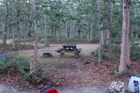 The surrounding area is excellent for exploring trails, shopping, golfing and other exciting activities. View of our site - Picture of Martha's Vineyard Family ...