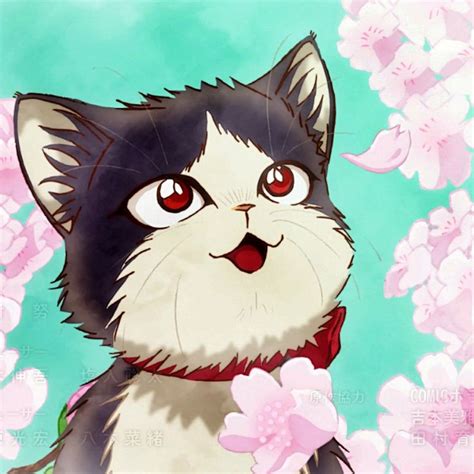 Is Doukyonin Wa Hiza Worth Your Time Anime Shelter Anime Cat