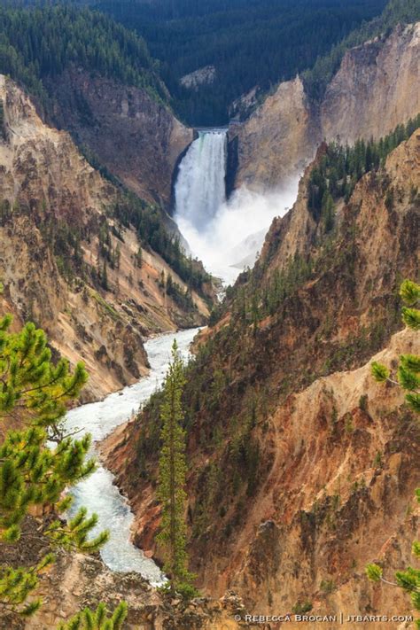Yellowstone Falls From Artist Point Yellowstone National Park John