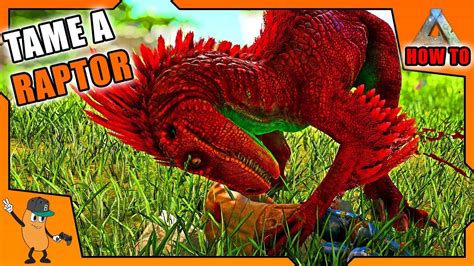 HOW TO TAME A RAPTOR IN ARK Beginners Guide To Ark How To Ark