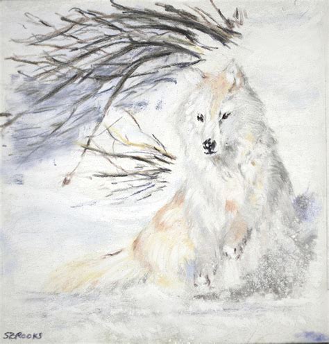 Arctic Wolf Painting By Sandy Brooks Fine Art America