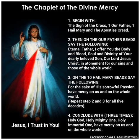 .divine mercy, also called the divine mercy chaplet, is a christian devotion to the divine mercy, 1 based on the christological apparitions of jesus reported by pope john paul ii was instrumental in the formal establishment of the divine mercy devotion and acknowledged the efforts of the marian. Maria Divine Mercy's Messages of The Warning and The ...