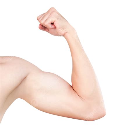 Closeup Of Asian Man Flexing Bicep Against White Background Healthy
