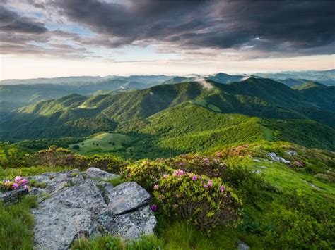 Appalachian Highlands And Coastal Plains — Lesson Social Science Class 7