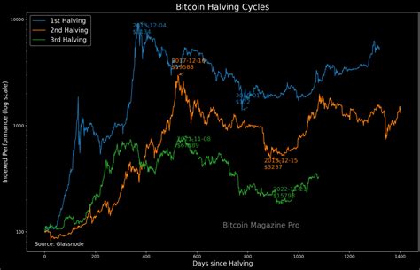 One Year Until The Bitcoin Halving Analyzing Holder Dynamics Usa