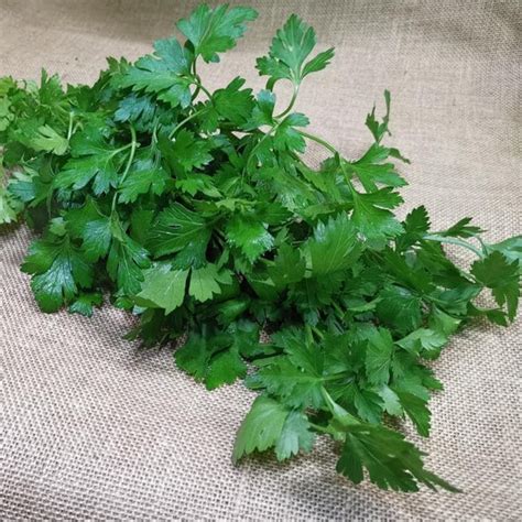 Continental Parsley The Fruit Ute