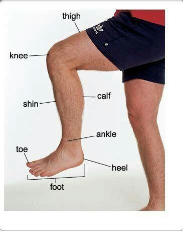 Try to guess the message parts of the body. 76 best images about Cursuri Engleza pentru copii on ...