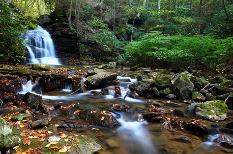Картинки Осень Природа Водопады Леса Мох Камень