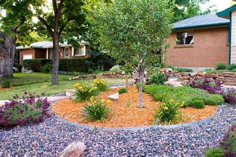 Landscaping And Outdoor Building Xeriscape Water Saving Landscaping