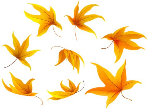 Fall Leaves PNG Clip Art Image | Gallery Yopriceville - High-Quality