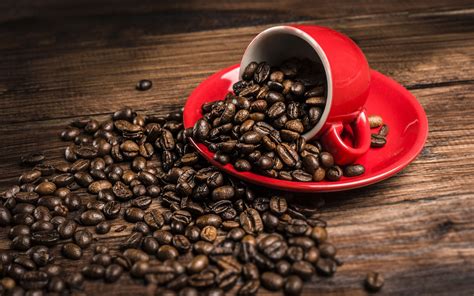 Free Download Red Cup And Coffee Beans Wallpapers 2560x1600 1335291