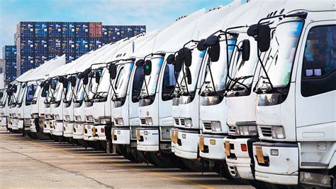 Logistic Transport Trucking Service Signature Cargos