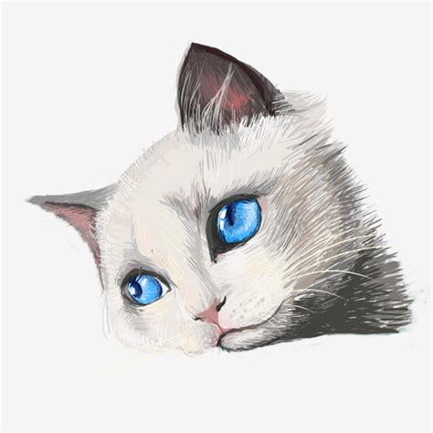 Melancholy Cat Hand Drawn Avatar Design Paintedcatavatarpretty Cat