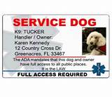 Printable Service Dog Id Cards Photos