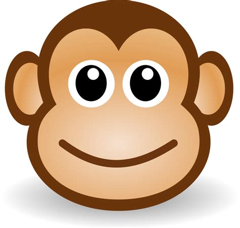 Free Desktop Wallpapers Backgrounds Funny Monkey