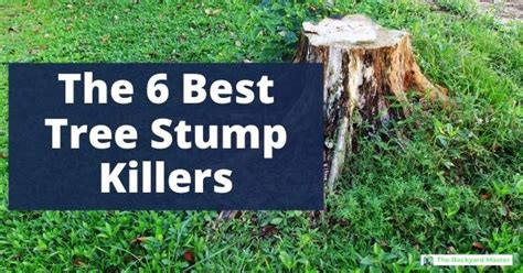 The Best Stump Killer 6 Products To Remove Tree Stumps Fast The