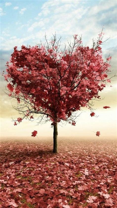Nature Red Love Fall Tree Iphone 6 Wallpaper Download Iphone