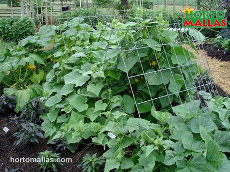 Wire Trellis Hortomallas™ Supporting Your Crops®