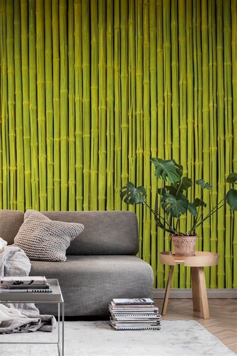 Green Bamboo Wallpaper Bamboo Wallpaper Flower Wall Stencil Bamboo Wall