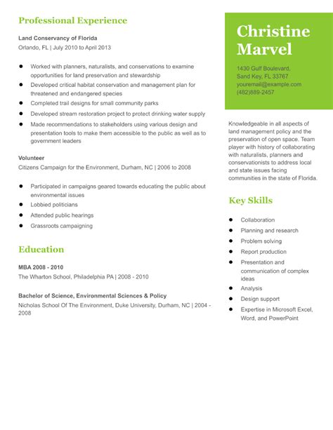 Stay At Home Mom Resume Examples And Templates For 2024