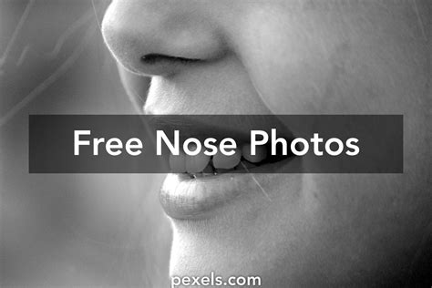 Free Stock Photos Of Nose · Pexels