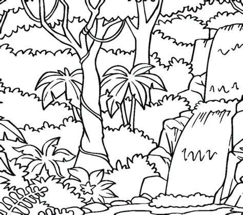 An inky quest and coloring book (activity books, mindfulness and meditation, illustrated floral prints) basford, johanna on amazon.com. Rainforest Trees Coloring Pages at GetColorings.com | Free printable colorings pages to print ...