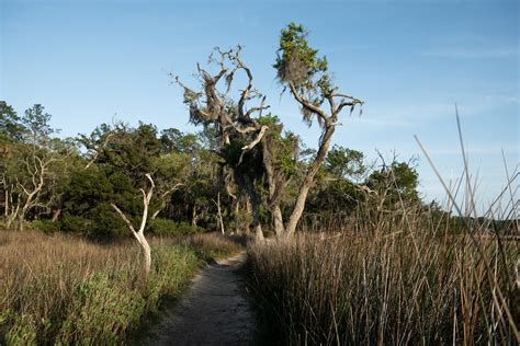 Skidaway Island State Park Boasts Miles Of Spectacular Nature Trails They