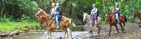 Arenal Volcano La Fortuna Waterfall Horseback Ride Arenal Tour Deals